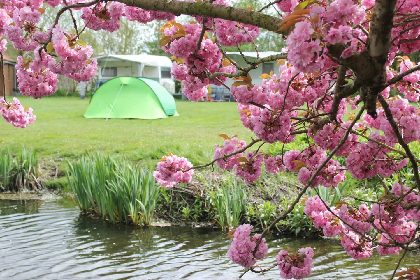 Campingplatz in Friesland